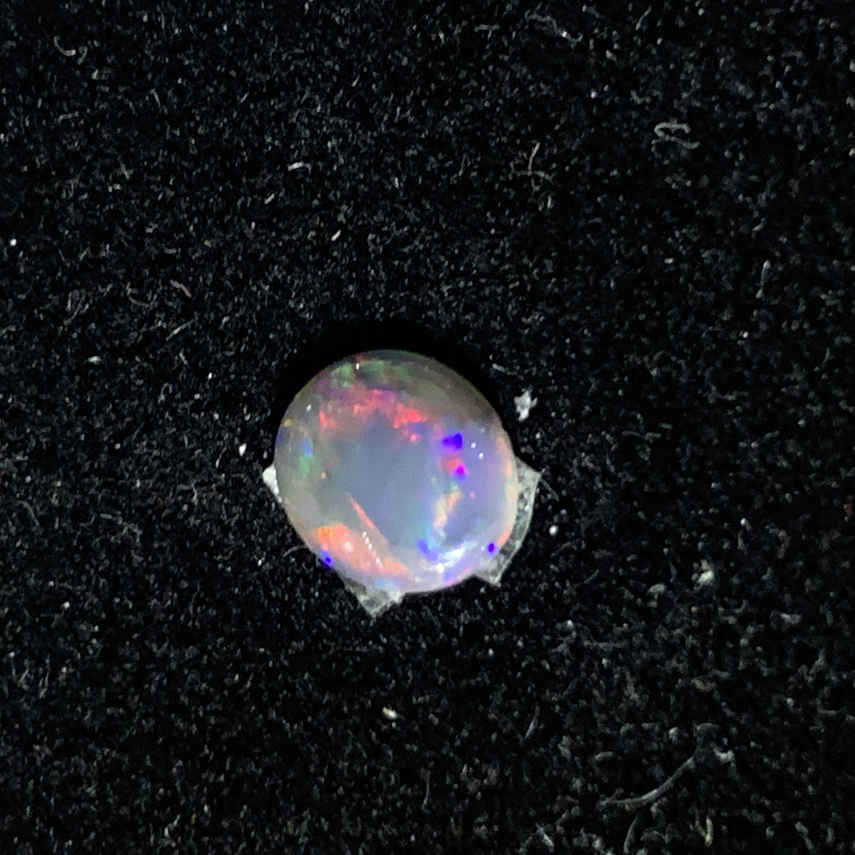 Loose Black Opal 0.35ct