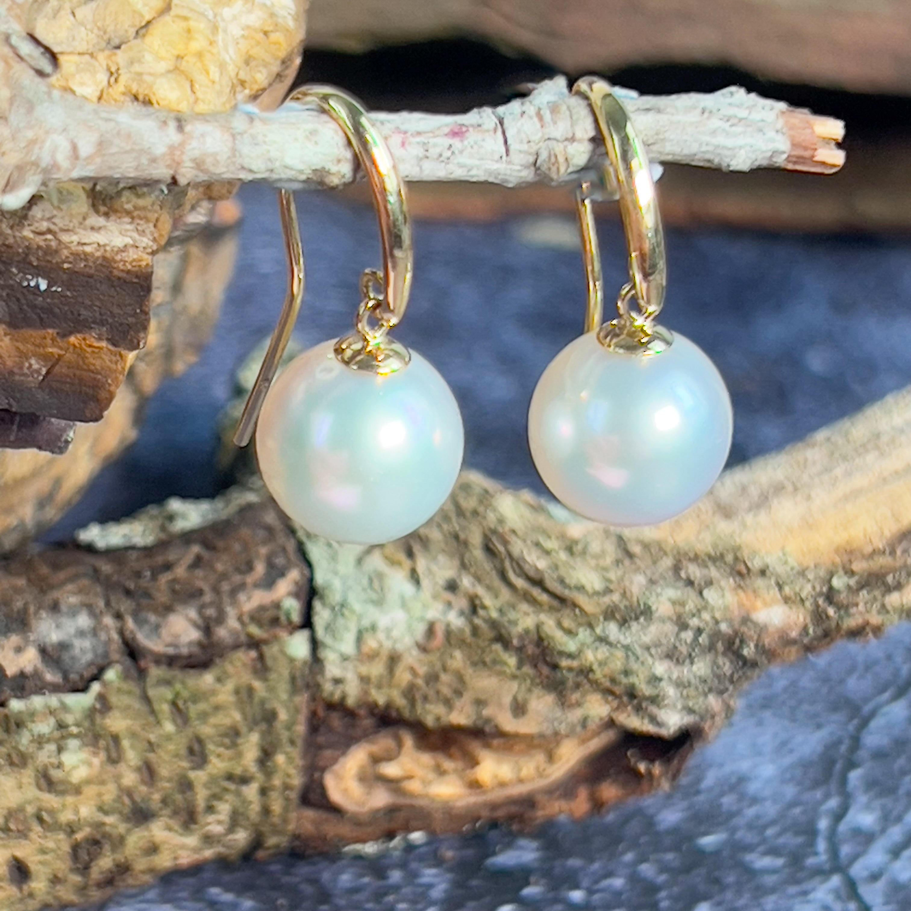 Pair of 10-11mm South Sea 18kt Yellow gold dangling hook earrings - Masterpiece Jewellery Opal & Gems Sydney Australia | Online Shop