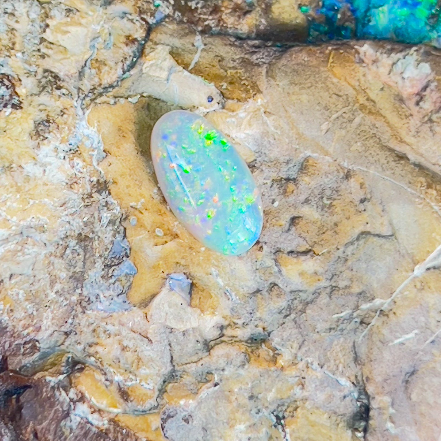 One Oval Black Opal 1.49ct orange and green - Masterpiece Jewellery Opal & Gems Sydney Australia | Online Shop