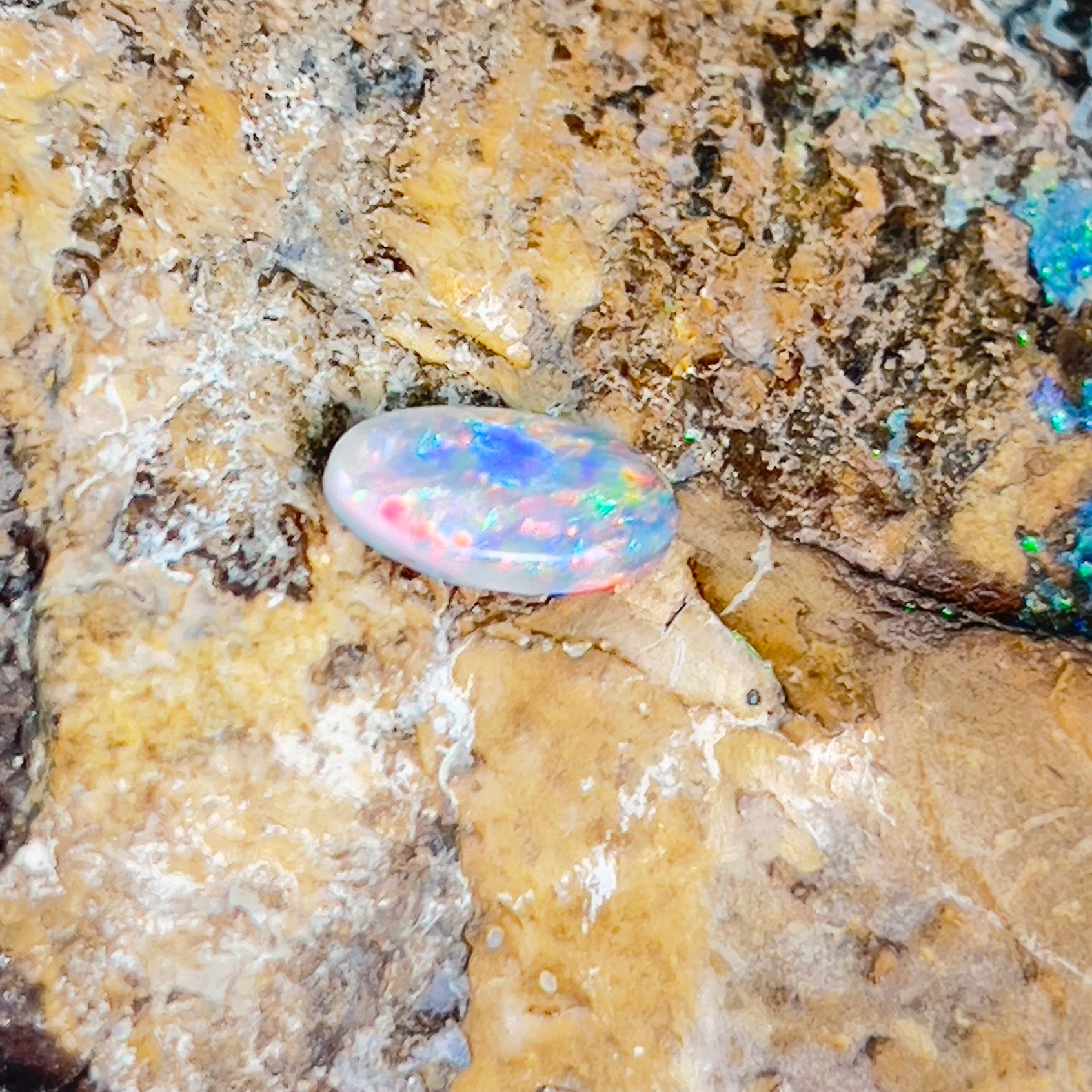 One Oval 1.19ct Black Opal Fire - Masterpiece Jewellery Opal & Gems Sydney Australia | Online Shop