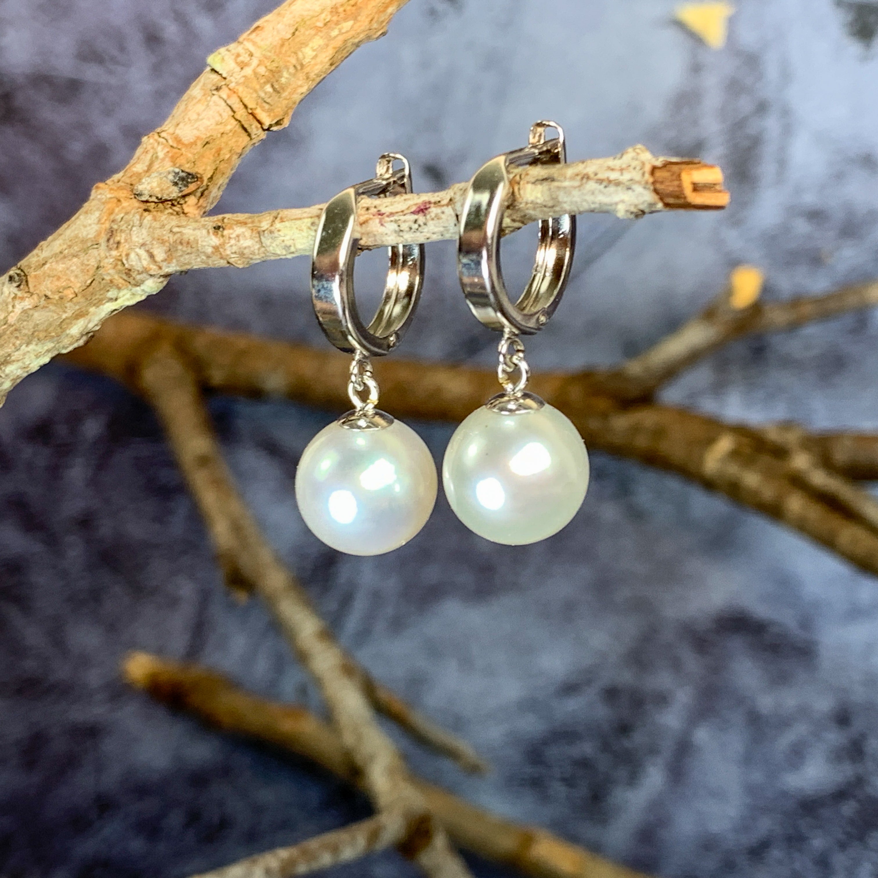 One pair fo 14kt White Gold dangling huggie South Sea Pearls 9.5-10mm - Masterpiece Jewellery Opal & Gems Sydney Australia | Online Shop