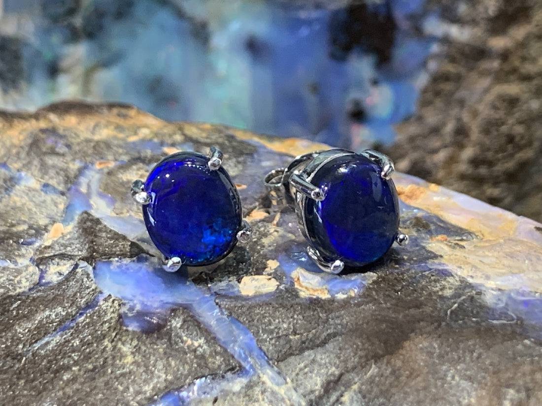 14KT White Gold earring Black Opal studs - Masterpiece Jewellery Opal & Gems Sydney Australia | Online Shop