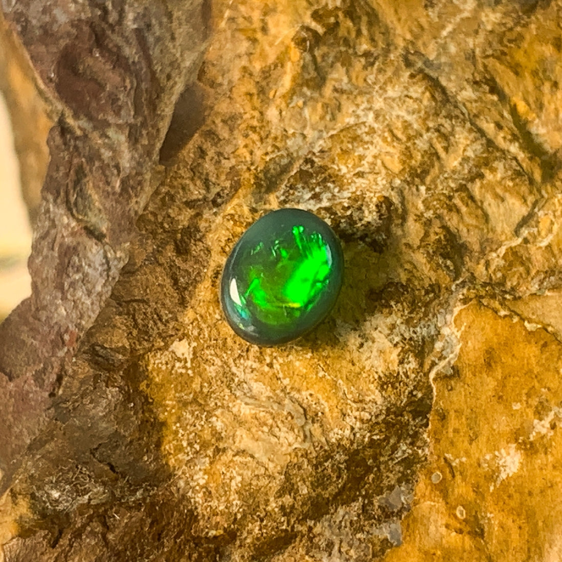 Black Opal 1.3ct Oval - Masterpiece Jewellery Opal & Gems Sydney Australia | Online Shop