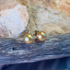 18kt Yellow Gold Golden South Sea Pearl 10mm studs - Masterpiece Jewellery Opal & Gems Sydney Australia | Online Shop