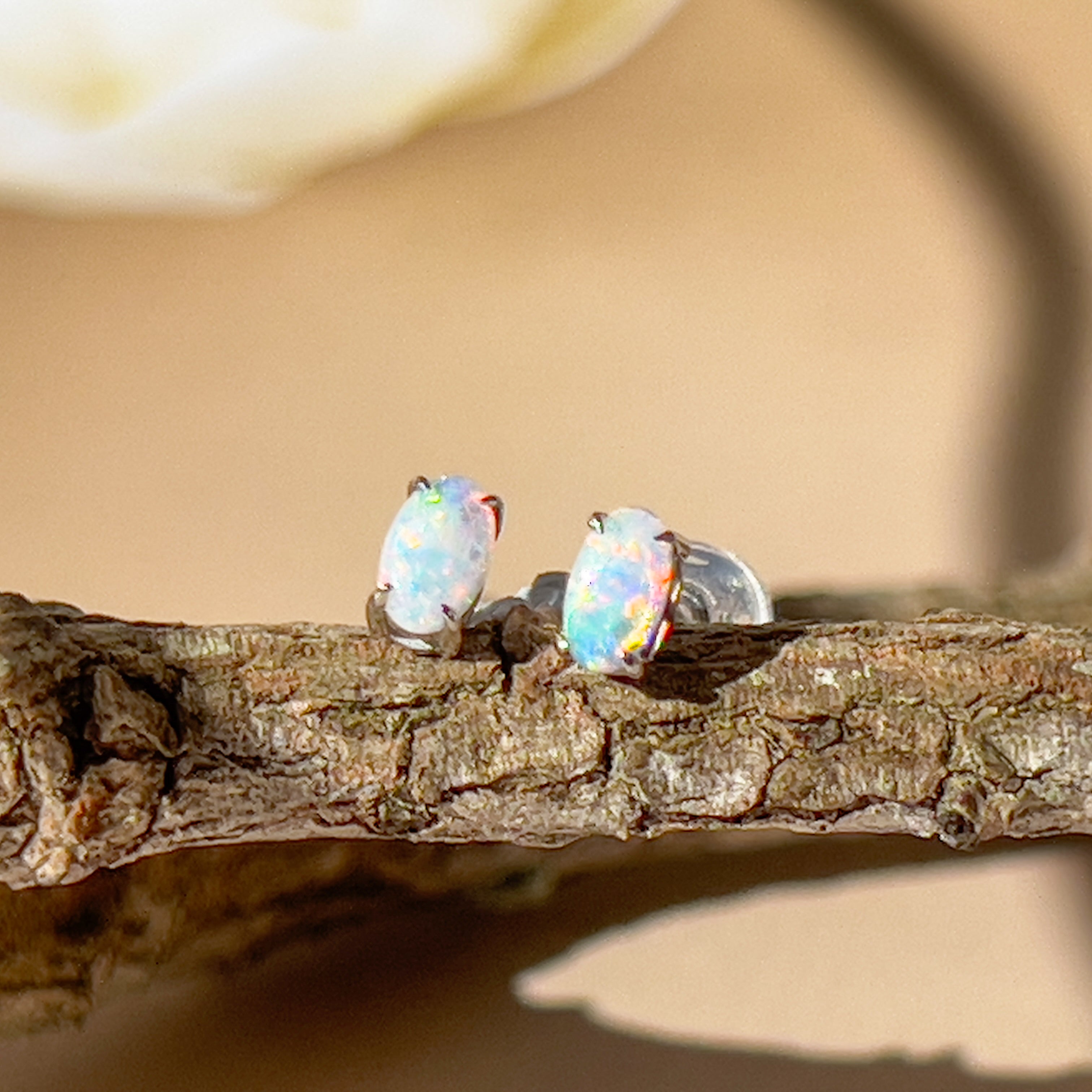 9Kt White Gold Crystal Opal Earrings - 5x3mm 4-Claw Studs, Elegant Opal Jewelry, Perfect Gift for Her, Luxury Gold Stud Earrings - Masterpiece Jewellery Opal & Gems Sydney Australia | Online Shop