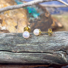 18kt Yellow Gold 5mm Akoya Pearl studs - Masterpiece Jewellery Opal & Gems Sydney Australia | Online Shop