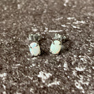 Sterling Silver Opal studs - Masterpiece Jewellery Opal & Gems Sydney Australia | Online Shop