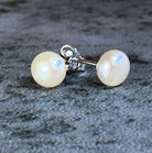 Sterling Silver 6-6.5mm Freshwater Pearl earrings - Masterpiece Jewellery Opal & Gems Sydney Australia | Online Shop