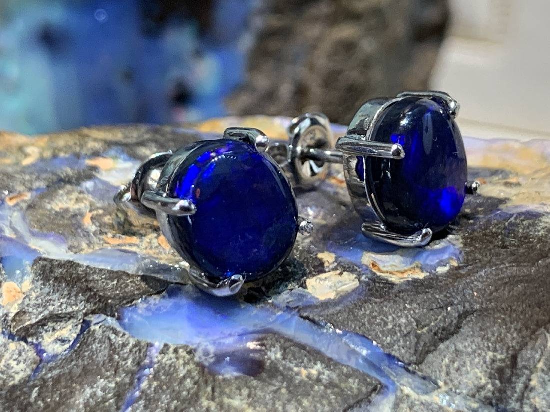 14KT White Gold earring Black Opal studs - Masterpiece Jewellery Opal & Gems Sydney Australia | Online Shop